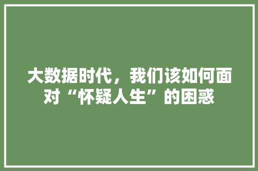大数据时代，我们该如何面对“怀疑人生”的困惑