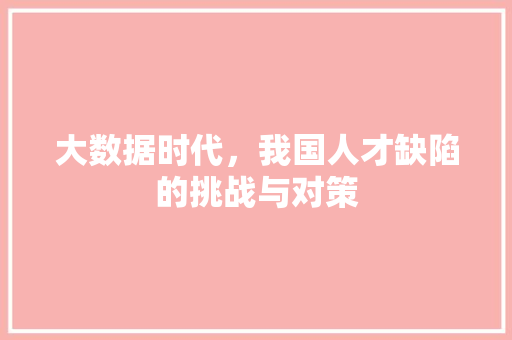 大数据时代，我国人才缺陷的挑战与对策  第1张