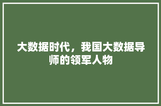 大数据时代，我国大数据导师的领军人物