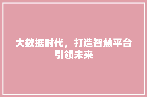 大数据时代，打造智慧平台引领未来  第1张