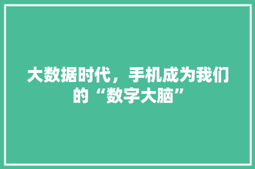 大数据时代，手机成为我们的“数字大脑”  第1张