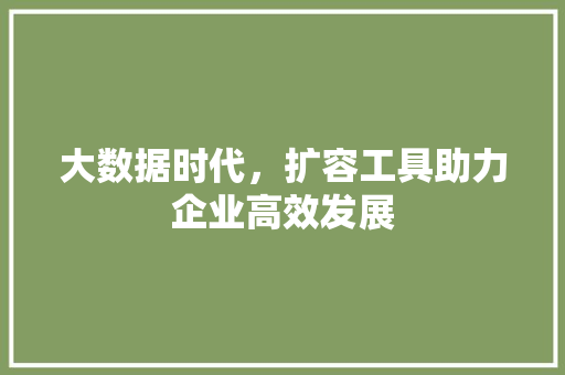 大数据时代，扩容工具助力企业高效发展
