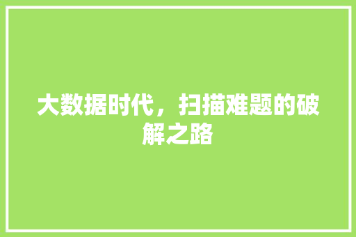 大数据时代，扫描难题的破解之路