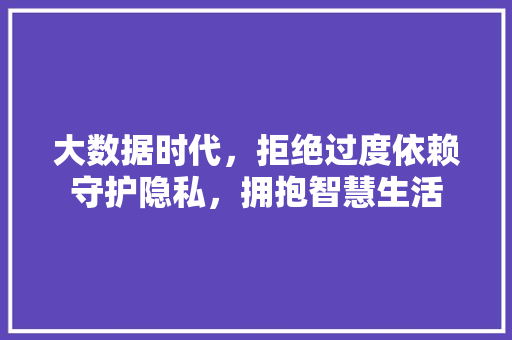大数据时代，拒绝过度依赖守护隐私，拥抱智慧生活