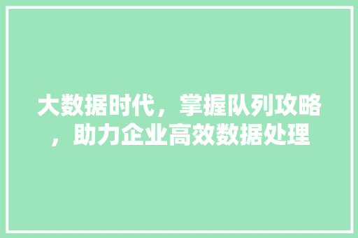 大数据时代，掌握队列攻略，助力企业高效数据处理