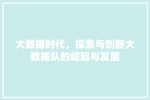 大数据时代，探索与创新大数据队的崛起与发展  第1张
