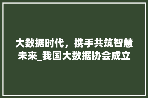 大数据时代，携手共筑智慧未来_我国大数据协会成立纪实  第1张