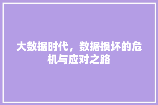 大数据时代，数据损坏的危机与应对之路