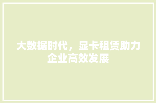 大数据时代，显卡租赁助力企业高效发展