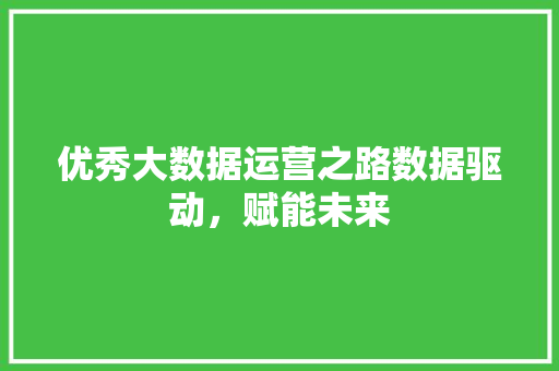 优秀大数据运营之路数据驱动，赋能未来  第1张
