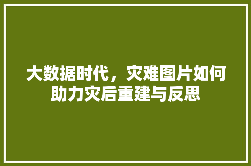 大数据时代，灾难图片如何助力灾后重建与反思