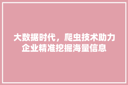 大数据时代，爬虫技术助力企业精准挖掘海量信息  第1张