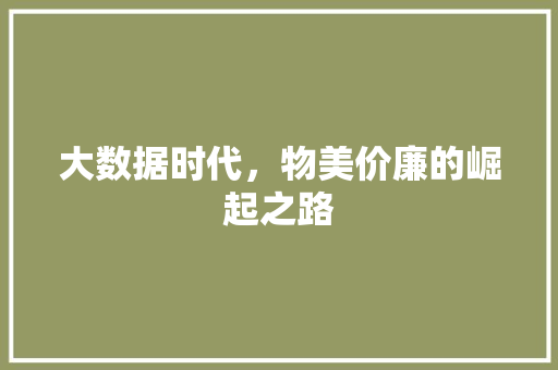 大数据时代，物美价廉的崛起之路