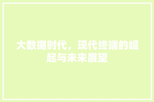 大数据时代，现代终端的崛起与未来展望