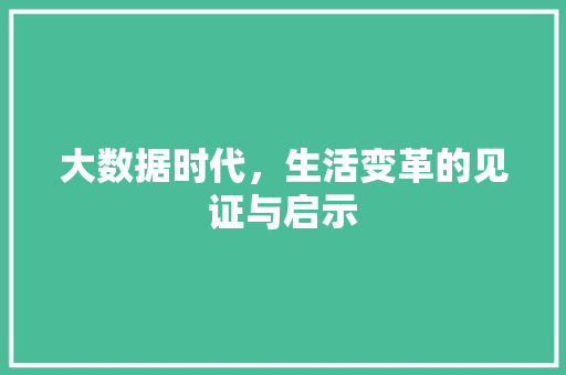 大数据时代，生活变革的见证与启示  第1张