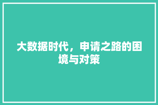 大数据时代，申请之路的困境与对策