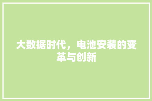 大数据时代，电池安装的变革与创新