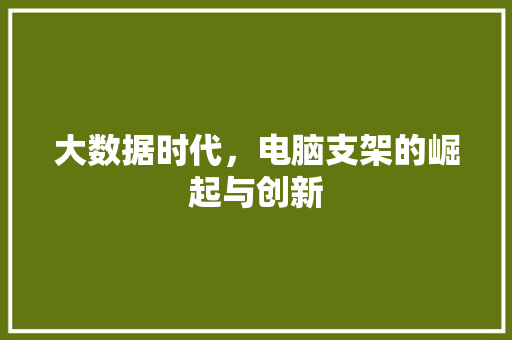 大数据时代，电脑支架的崛起与创新