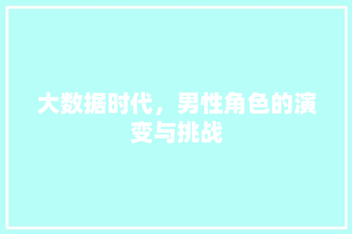 大数据时代，男性角色的演变与挑战