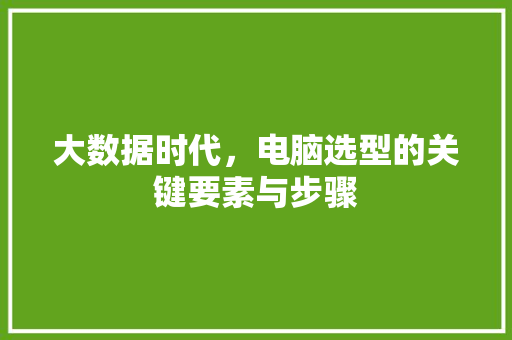 大数据时代，电脑选型的关键要素与步骤