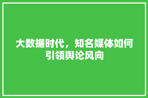 大数据时代，知名媒体如何引领舆论风向  第1张