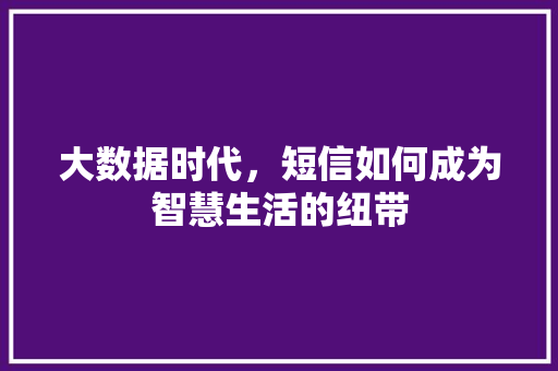 大数据时代，短信如何成为智慧生活的纽带