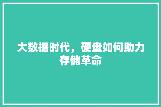 大数据时代，硬盘如何助力存储革命