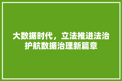 大数据时代，立法推进法治护航数据治理新篇章  第1张