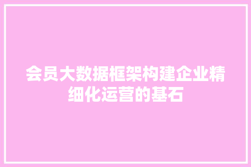会员大数据框架构建企业精细化运营的基石