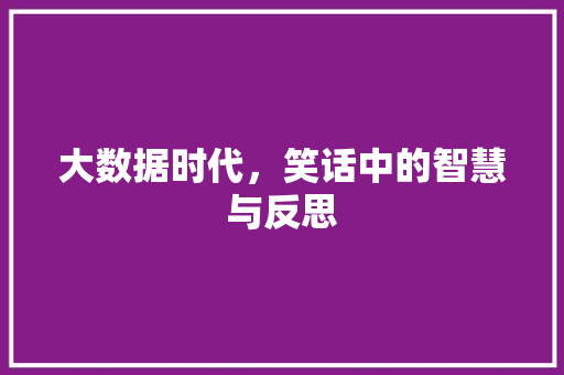 大数据时代，笑话中的智慧与反思