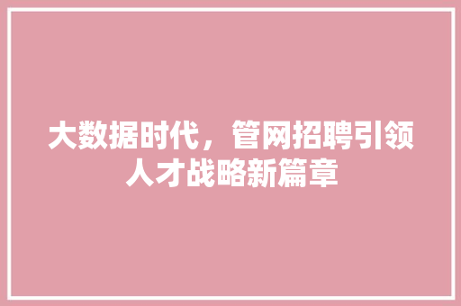 大数据时代，管网招聘引领人才战略新篇章