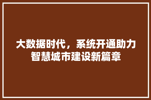 大数据时代，系统开通助力智慧城市建设新篇章  第1张