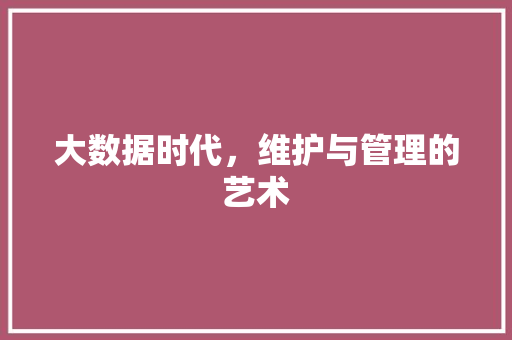 大数据时代，维护与管理的艺术  第1张