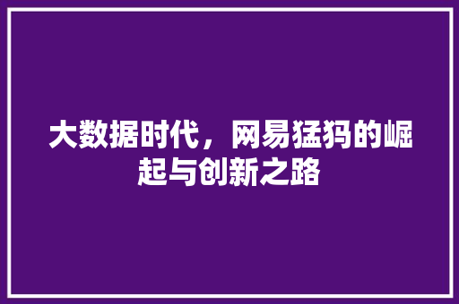 大数据时代，网易猛犸的崛起与创新之路