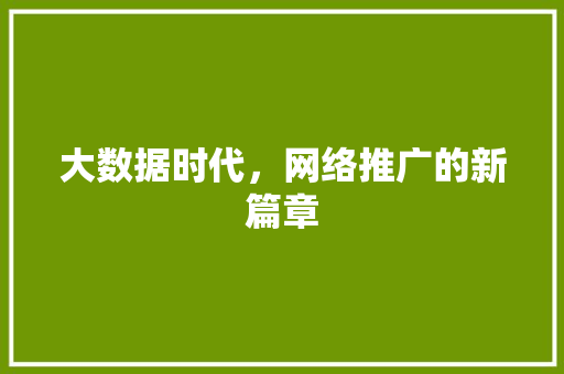 大数据时代，网络推广的新篇章