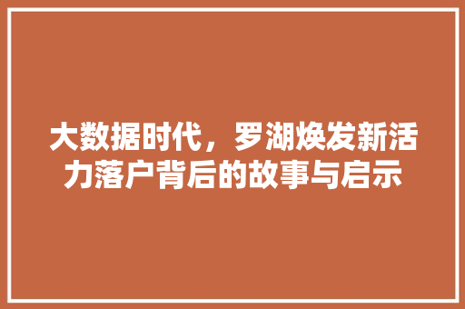 大数据时代，罗湖焕发新活力落户背后的故事与启示