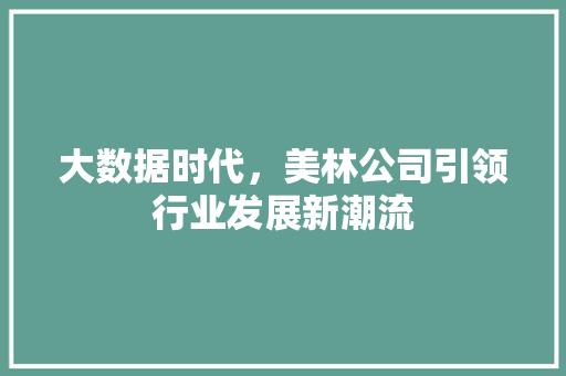 大数据时代，美林公司引领行业发展新潮流