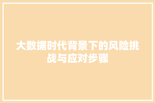 大数据时代背景下的风险挑战与应对步骤
