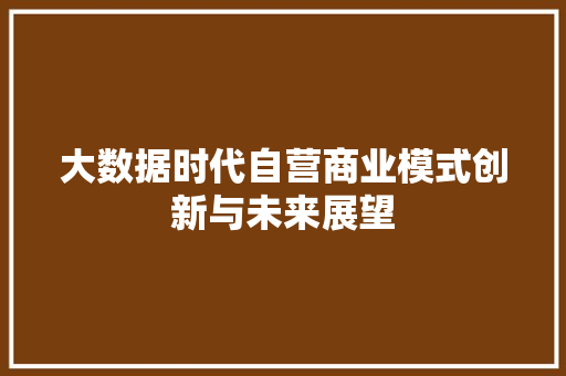 大数据时代自营商业模式创新与未来展望