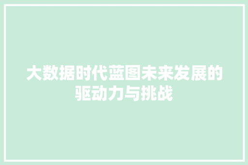 大数据时代蓝图未来发展的驱动力与挑战