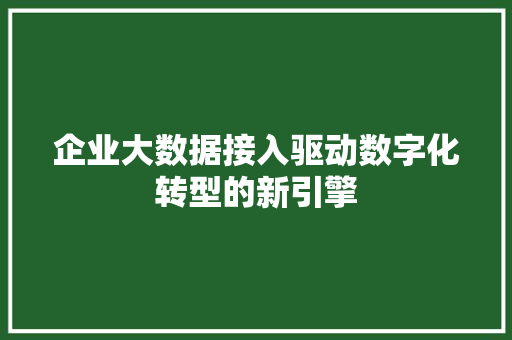 企业大数据接入驱动数字化转型的新引擎  第1张