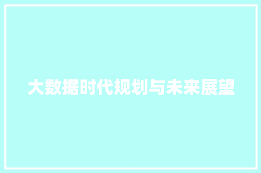 大数据时代规划与未来展望