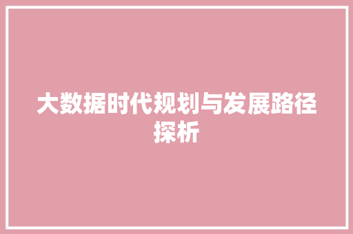 大数据时代规划与发展路径探析  第1张