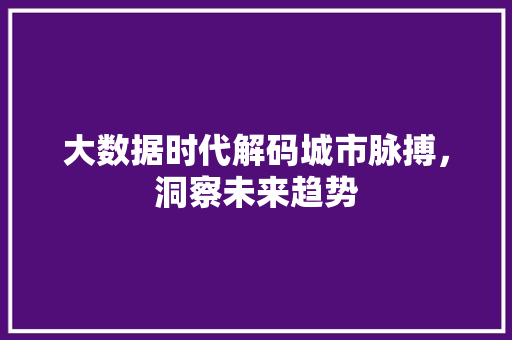 大数据时代解码城市脉搏，洞察未来趋势  第1张