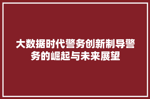 大数据时代警务创新制导警务的崛起与未来展望