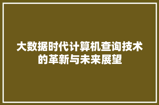 大数据时代计算机查询技术的革新与未来展望