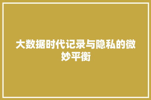 大数据时代记录与隐私的微妙平衡