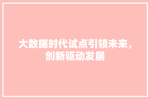 大数据时代试点引领未来，创新驱动发展  第1张