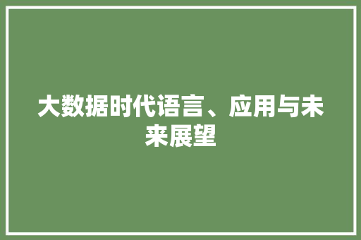 大数据时代语言、应用与未来展望