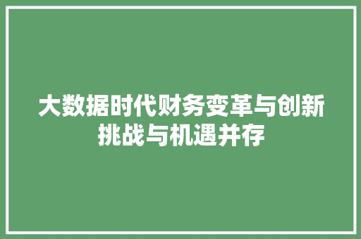 大数据时代财务变革与创新挑战与机遇并存  第1张